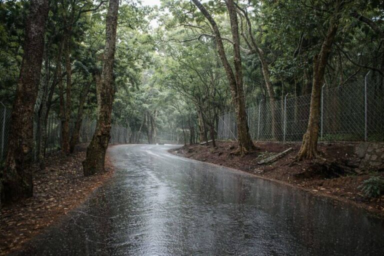 Munnar Itinerary for 2 days trip