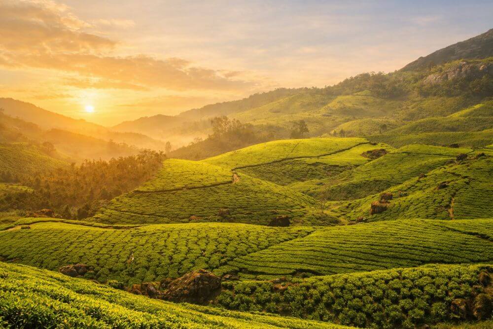 A sunrise view in Munnar - top hill stations in Kerala